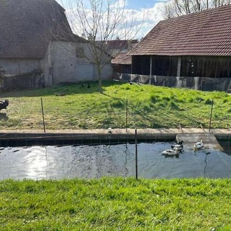 Maison Au Sein D'Une Ferme Villa Rahling Exterior photo
